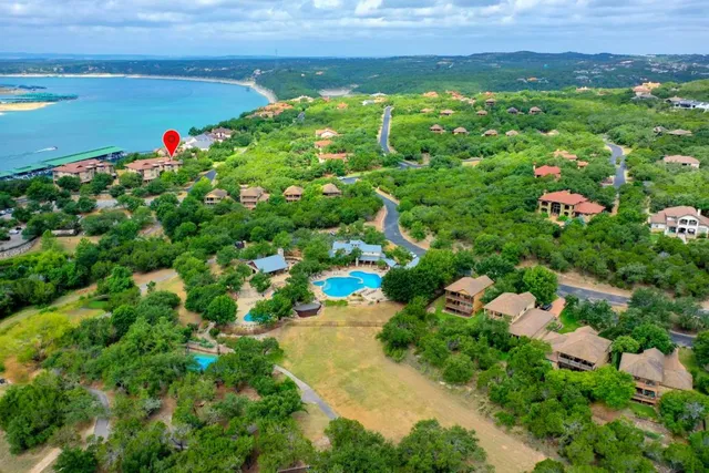 a view of a bunch of flowers