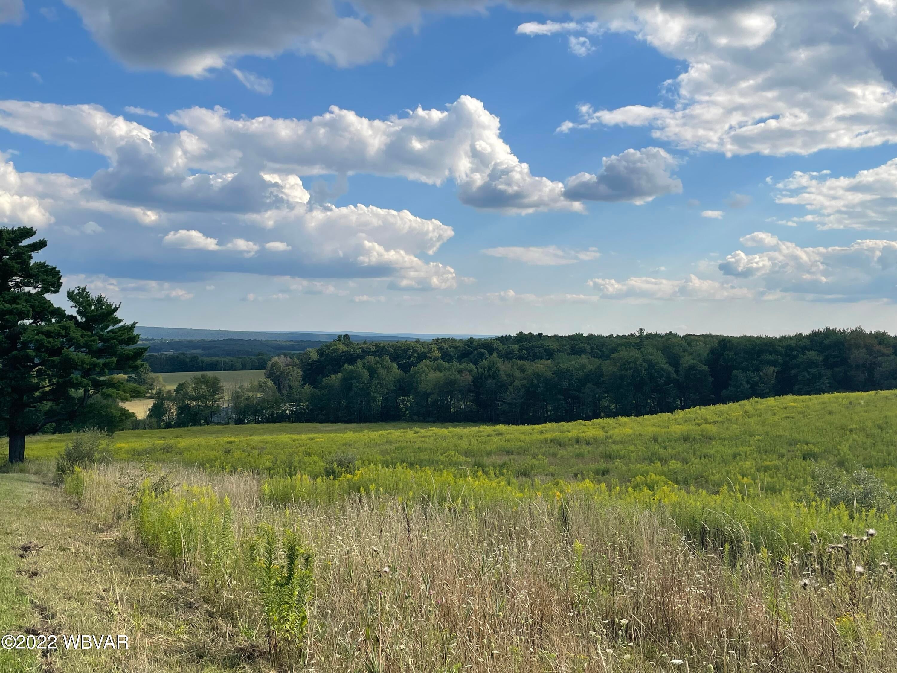 Dibble Road New Albany, PA 18833 - Photo 2 of 4 Gallery Image 2