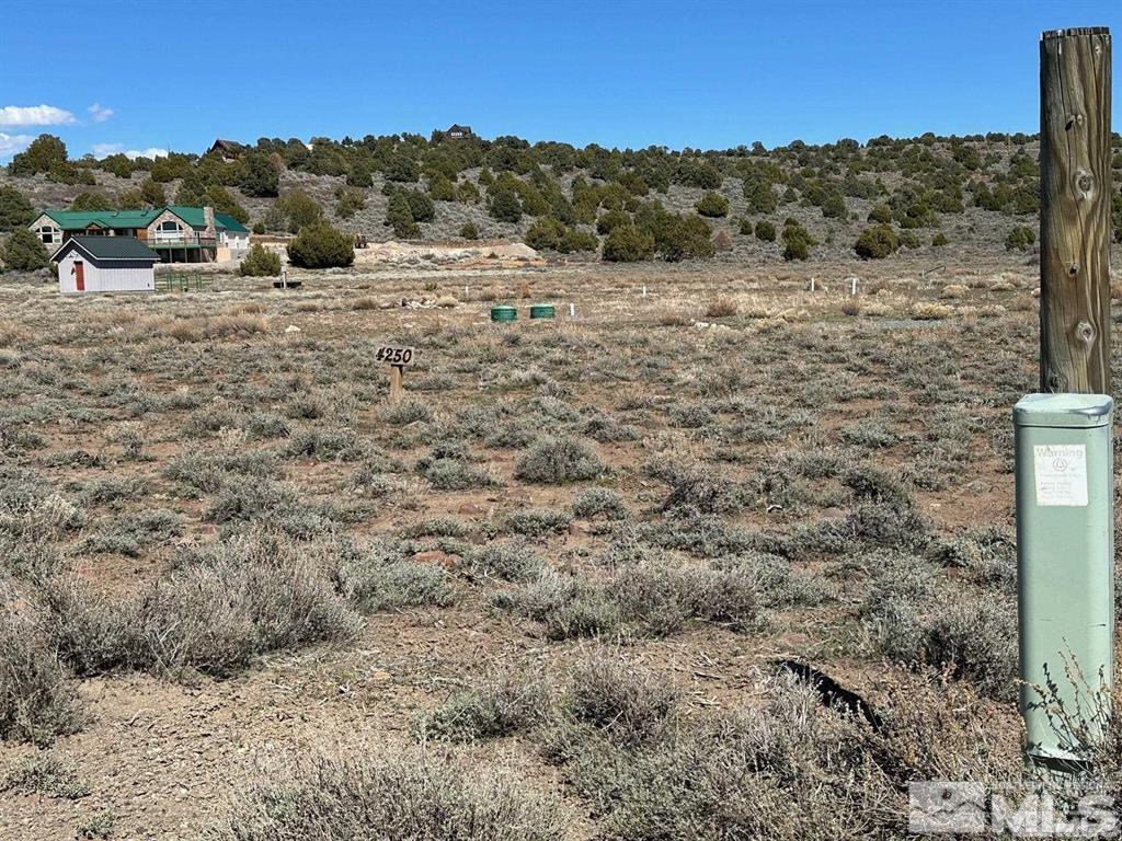 4250 Overland Road Reno, NV 89521 - Photo 3 of 39 Photo 3