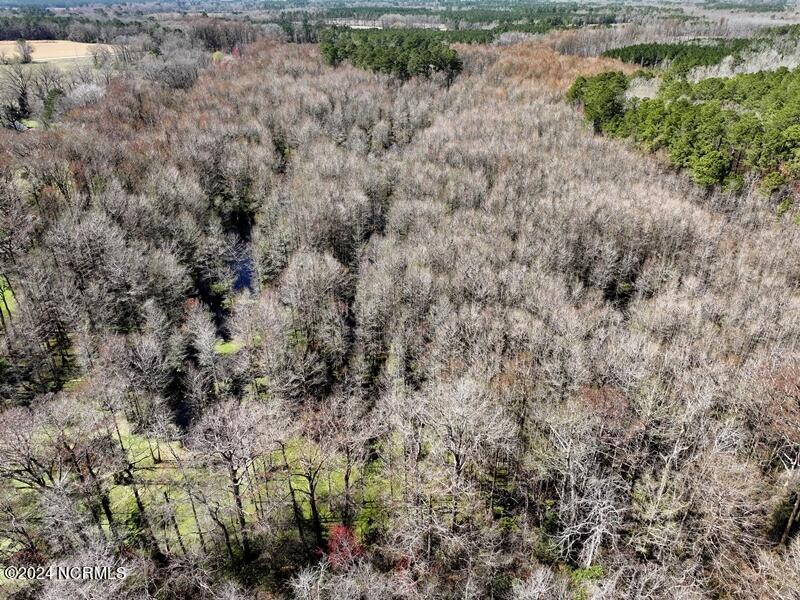 Tbd McGougan Road Lumber Bridge, NC 28357 - Photo 3 of 16 DJI_20240312142307_0122_D