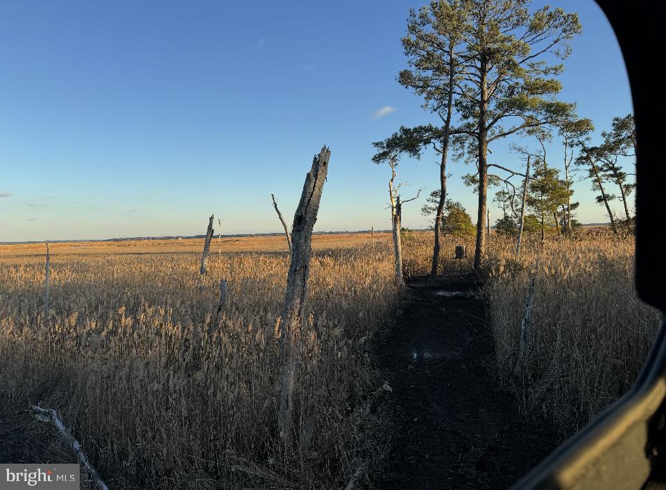 0 Elliott Island Road Vienna, MD 21869 - Photo 12 of 35 a view of a lake