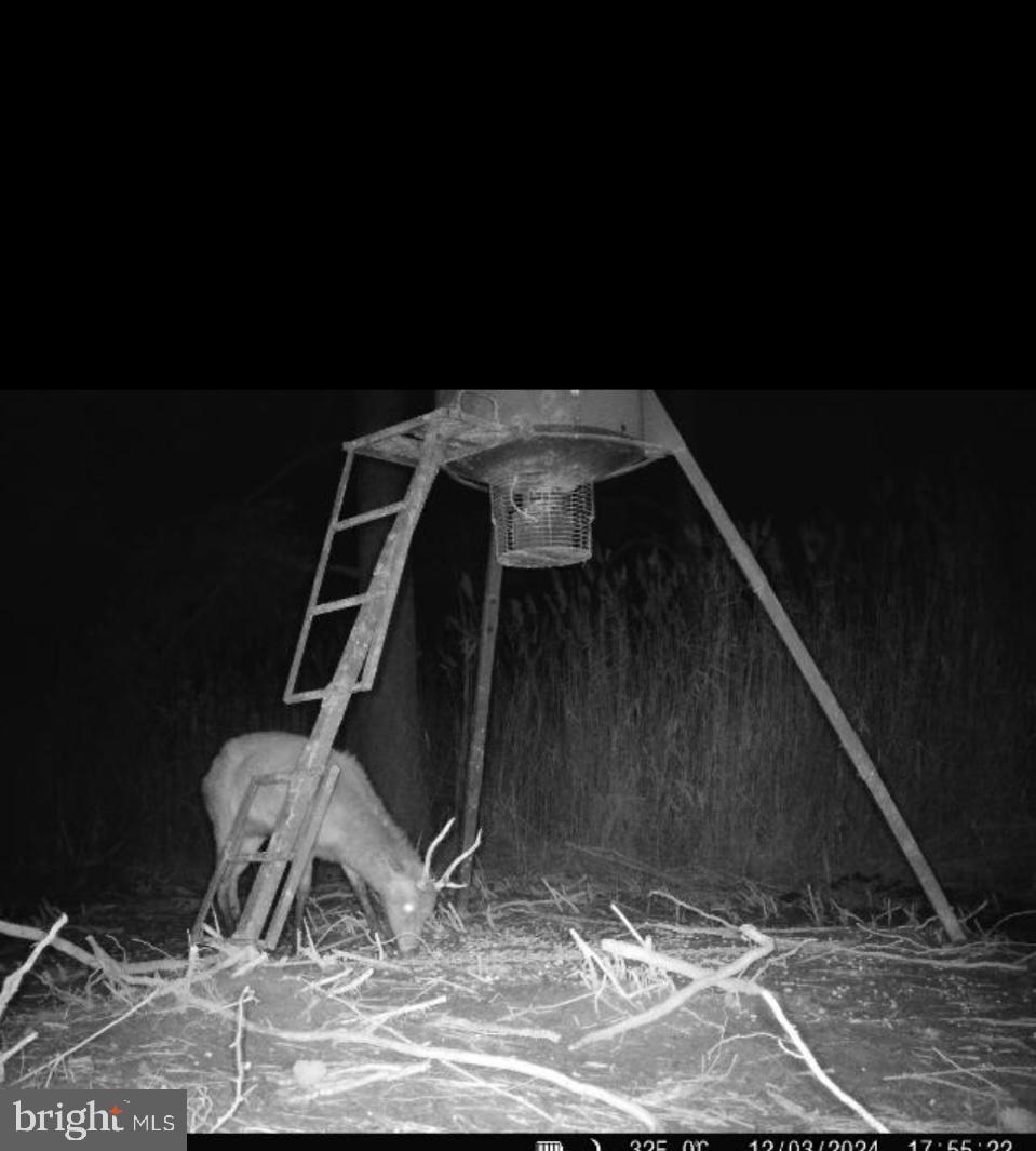 0 Elliott Island Road Vienna, MD 21869 - Photo 13 of 35 a view of entryway