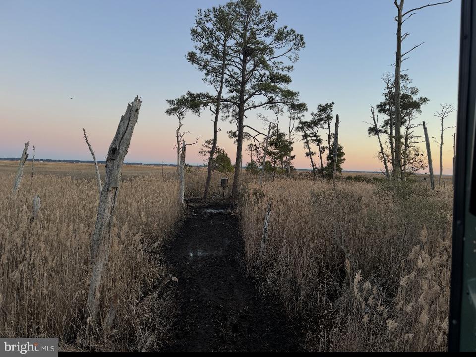 0 Elliott Island Road Vienna, MD 21869 - Photo 14 of 35 a view of lake