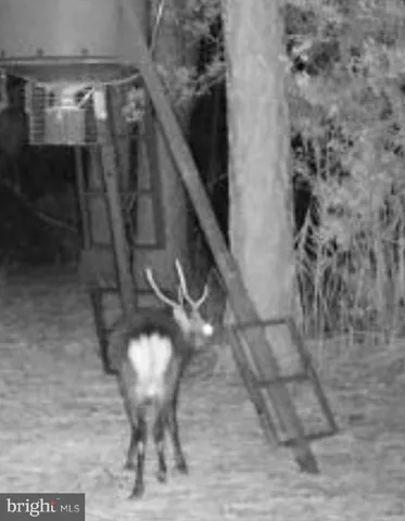 a view of a chairs and table in a patio
