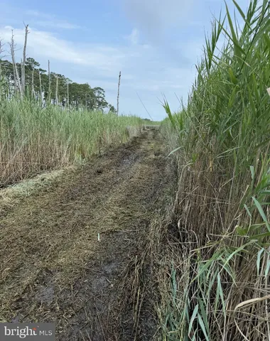 a view of a fireplace with wooden floor