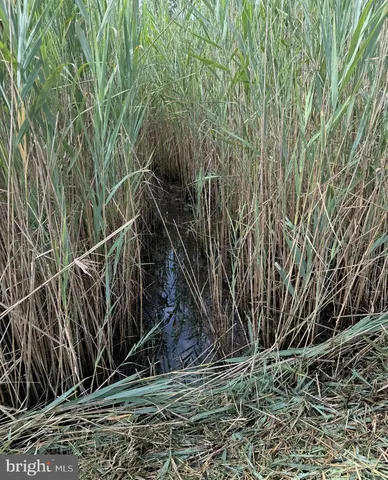 a view of a tiny house
