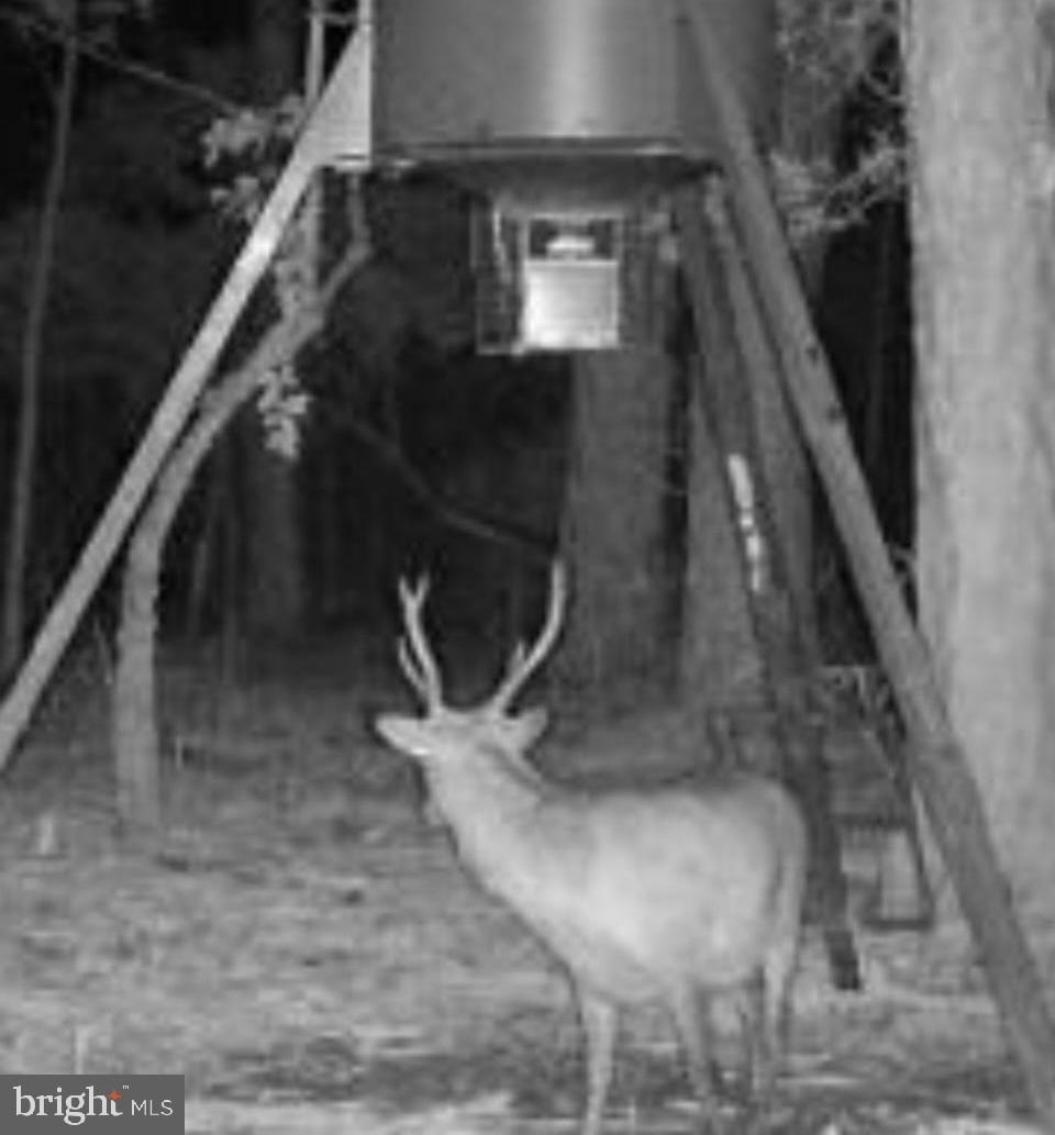 0 Elliott Island Road Vienna, MD 21869 - Photo 2 of 35 a close view of water heater