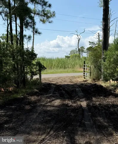 a couple of chairs sitting in a backyard of a house