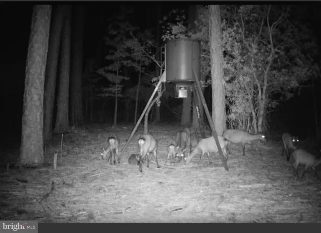 a view of a lake with a city
