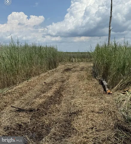 a front view of a house with large trees