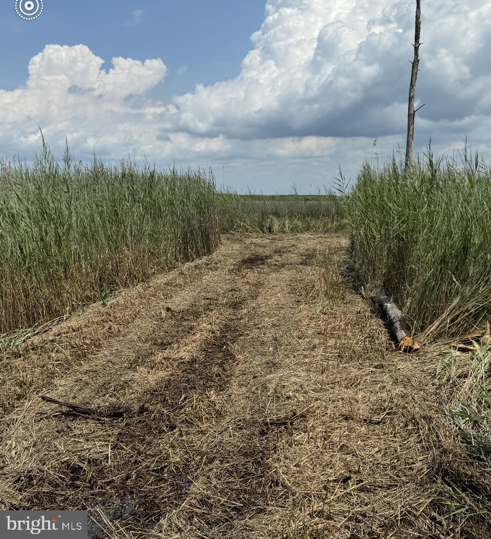 0 Elliott Island Road Vienna, MD 21869 - Photo 24 of 35 a view of a dry yard with wooden fence