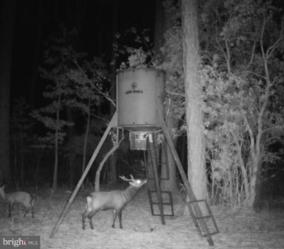 0 Elliott Island Road Vienna, MD 21869 - Photo 25 of 35 a couple of chairs sitting in a backyard of a house