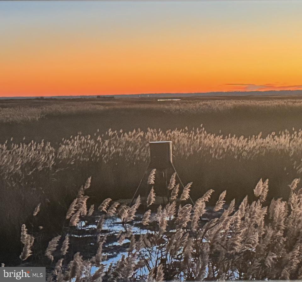 0 Elliott Island Road Vienna, MD 21869 - Photo 26 of 35 a view of a lake with a city