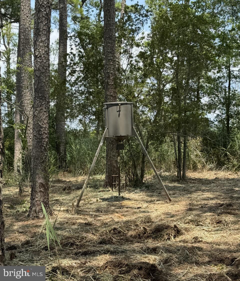 0 Elliott Island Road Vienna, MD 21869 - Photo 29 of 35 a backyard of a house with lots of green space