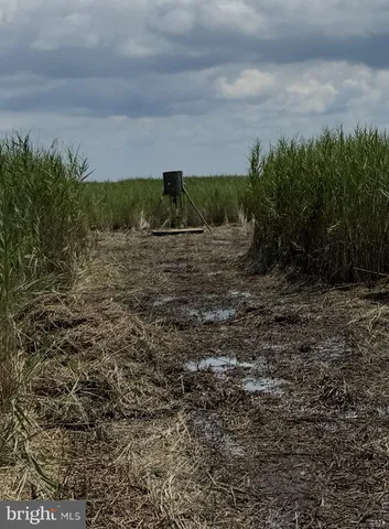 $222,500 | 0 Elliott Island Road, Vienna, MD 21869