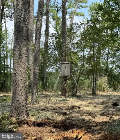 $222,500 | 0 Elliott Island Road, Vienna, MD 21869