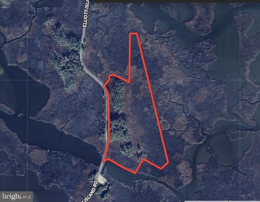 0 Elliott Island Road Vienna, MD 21869 - Photo 4 of 35 a view of a backyard