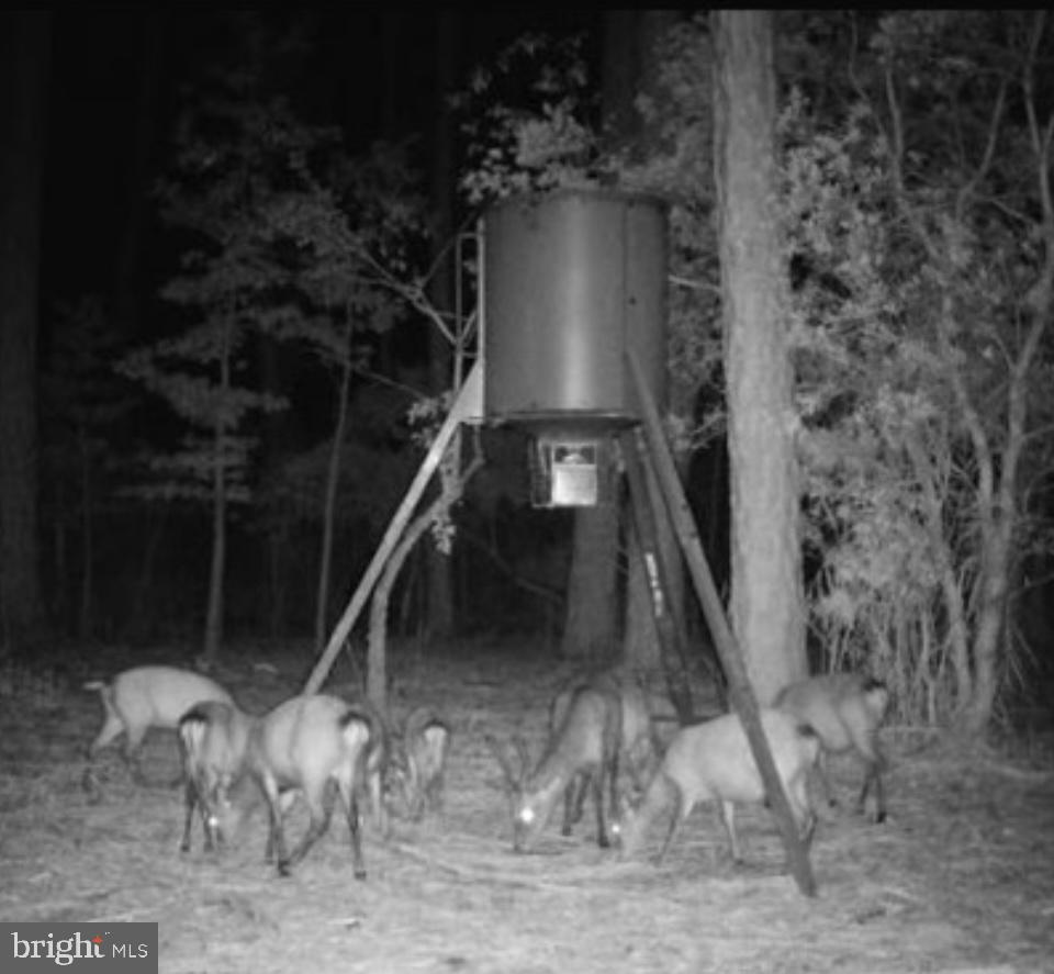 0 Elliott Island Road Vienna, MD 21869 - Photo 7 of 35 a view of entryway