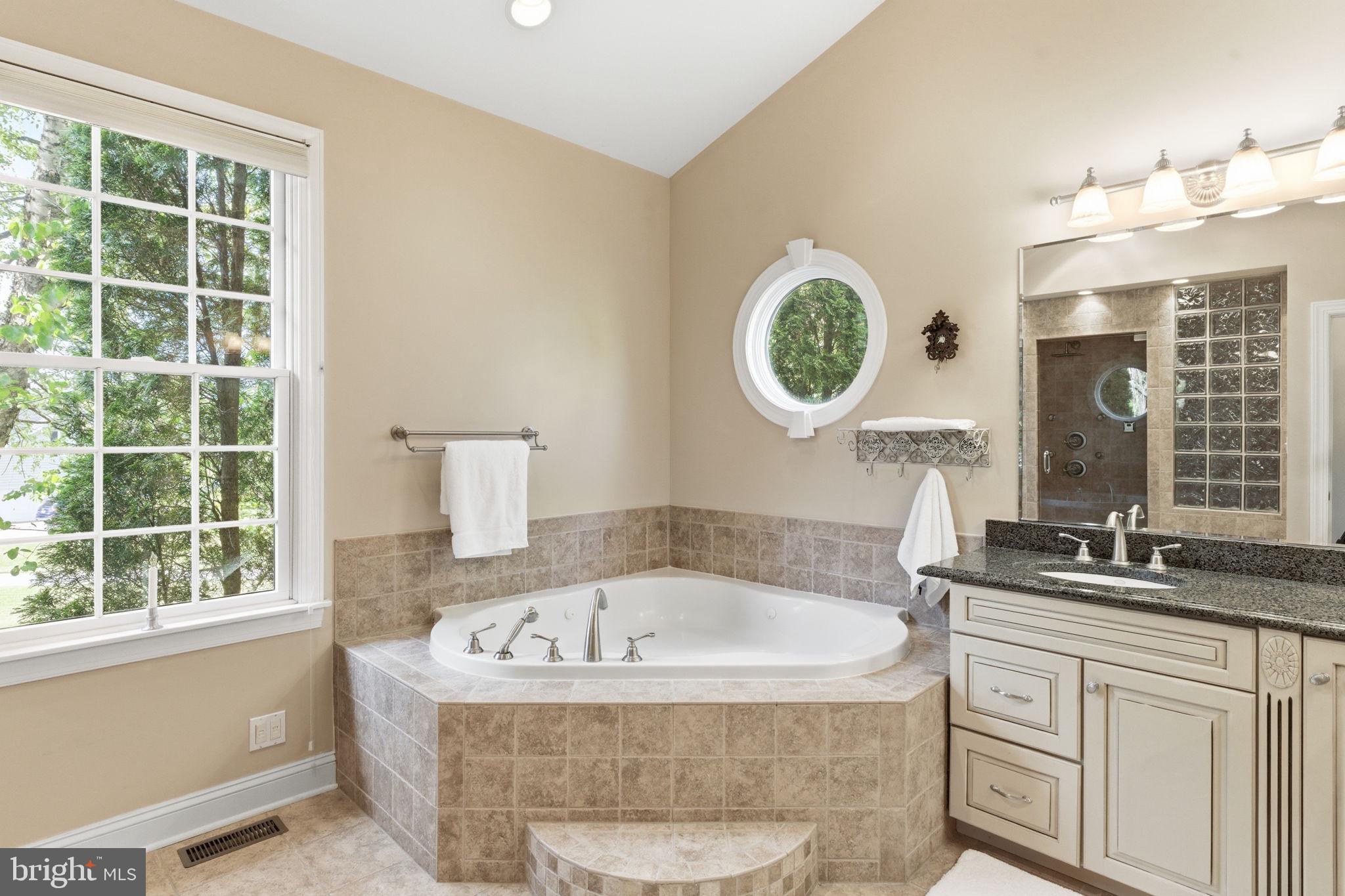 9 Deer Ridge Court Phoenix, MD 21131 - Photo 39 of 96 PRIMARY BATHROOM WITH JETTED TUB