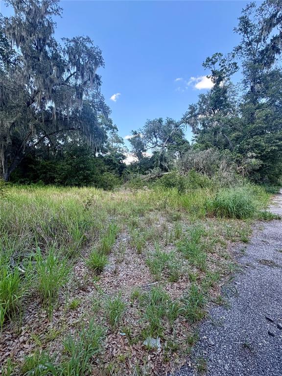 Sydney Washer Road Dover, FL 33527 - Photo 2 of 2