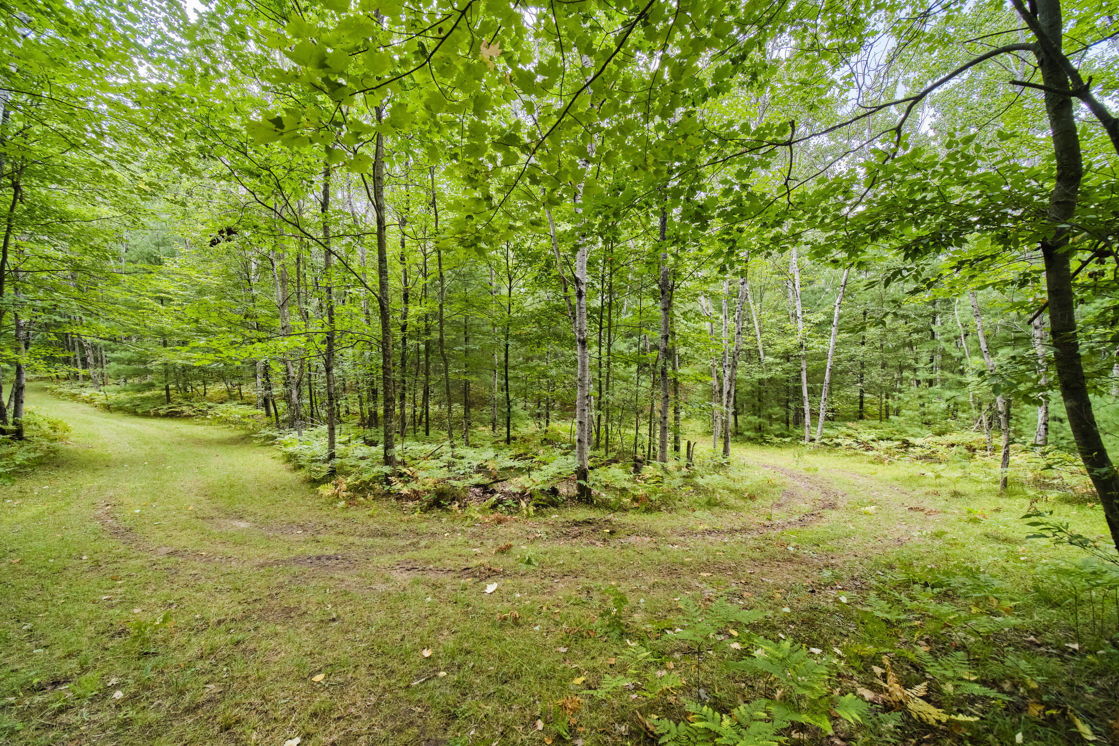 8089 Hunter Ridge Trail Copemish, MI 49625 - Photo 46 of 61 8089 Hunter's Ridge