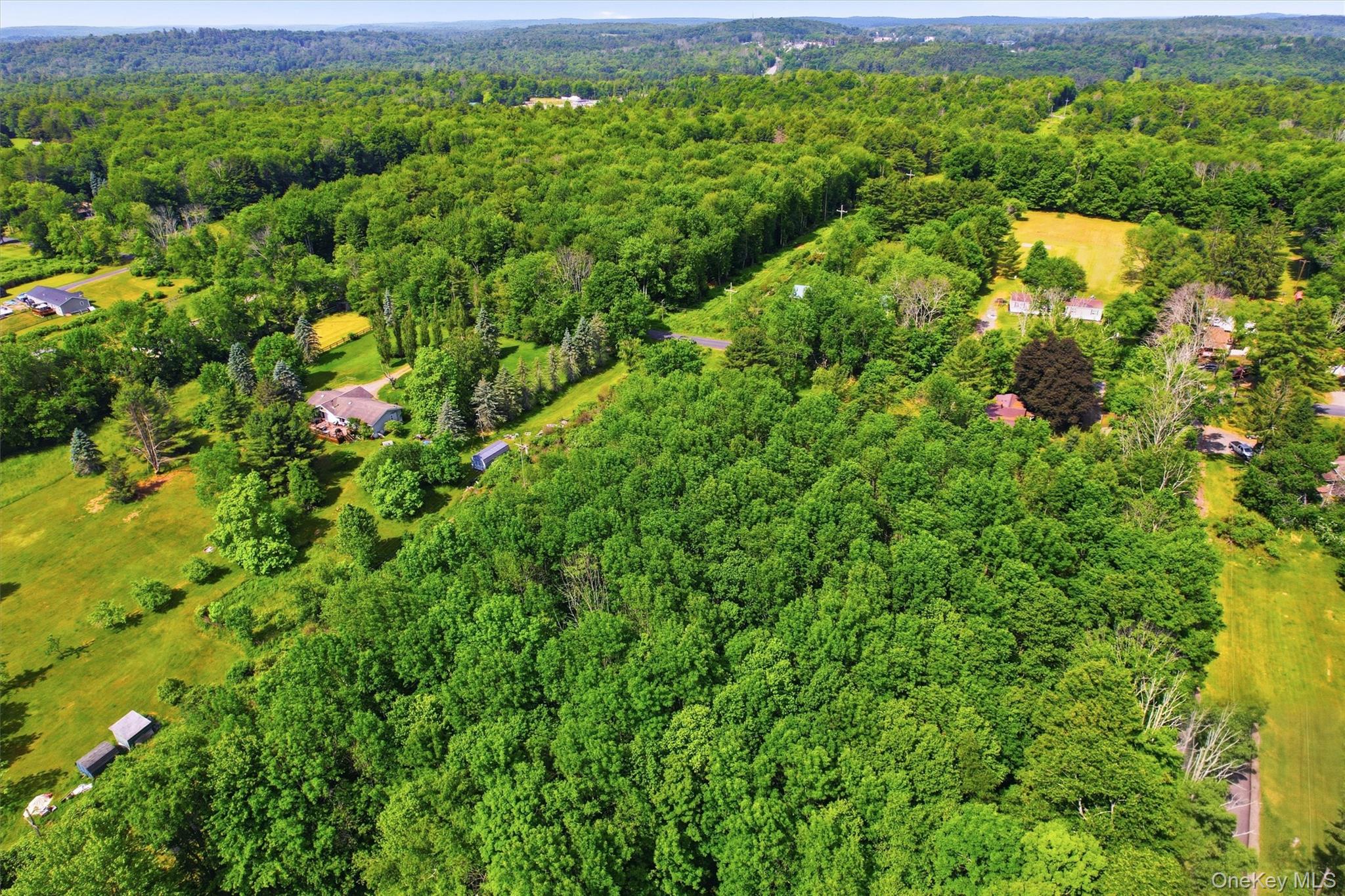 Tbd Britman Road Bethel, NY 12720 - Photo 12 of 16