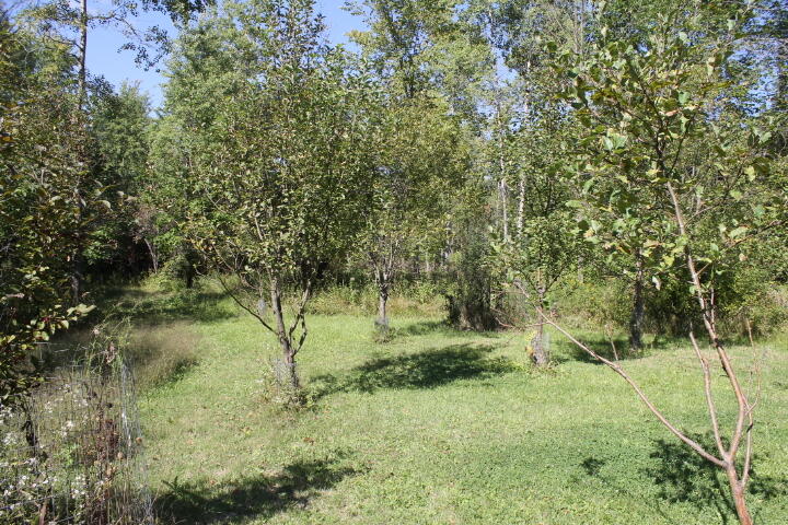 12150 Lone Tree Road Milford, MI 48380 - Photo 18 of 25