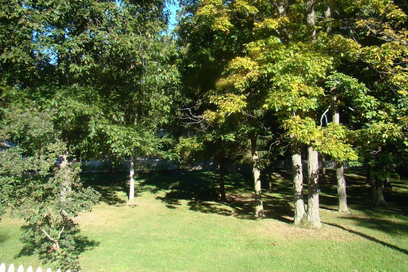 9665 Cemetery Road De Graff, OH 43318 - Photo 25 of 26