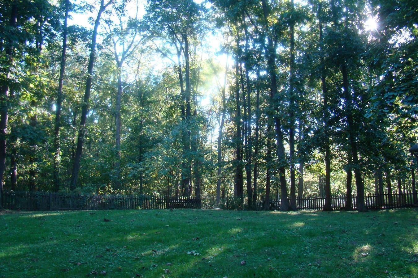 9665 Cemetery Road De Graff, OH 43318 - Photo 26 of 26