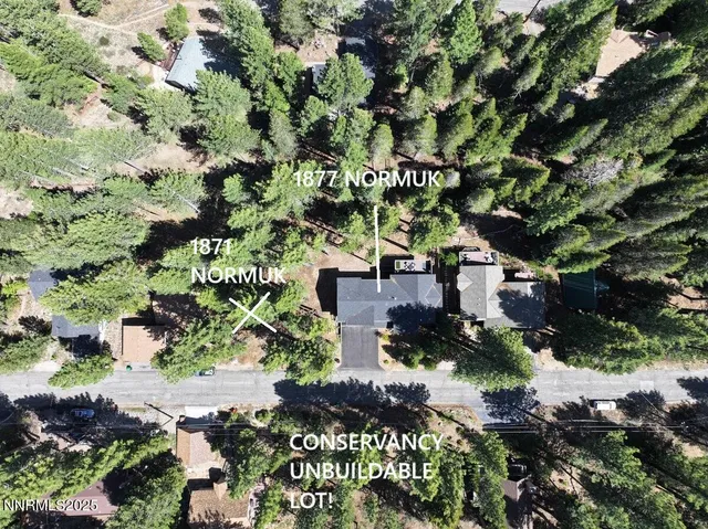 a house view with a tree