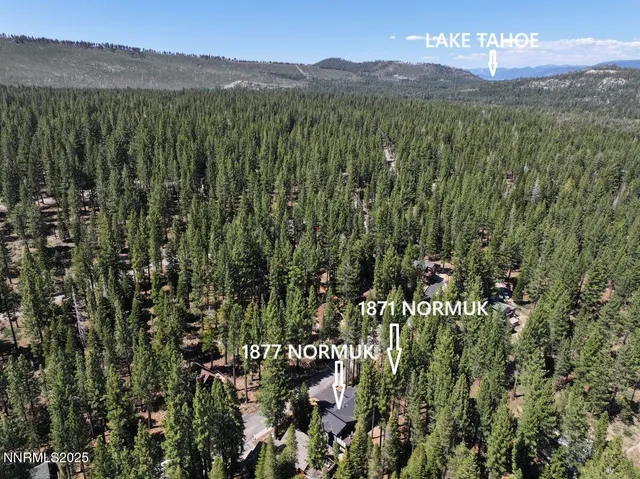 a view of a city with lush green forest