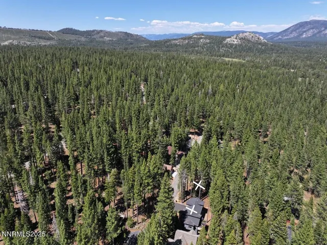 a view of a lush green hillside and a mountain