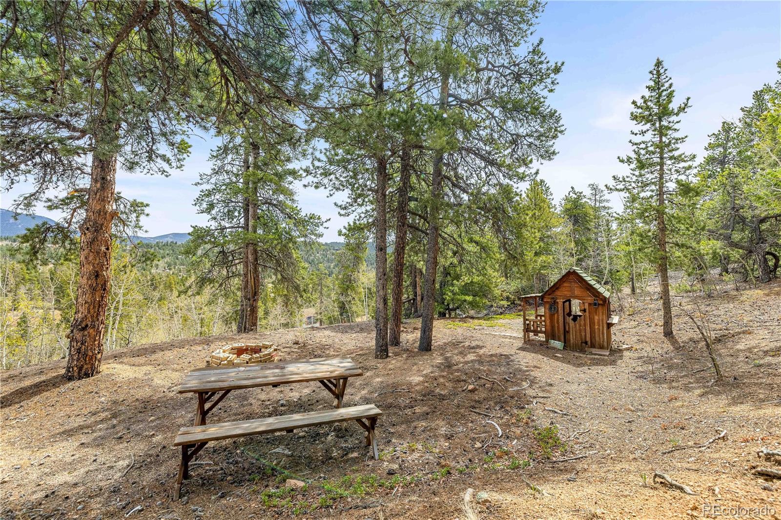 125 Rd P62 Bailey, CO 80421 - Photo 22 of 39
