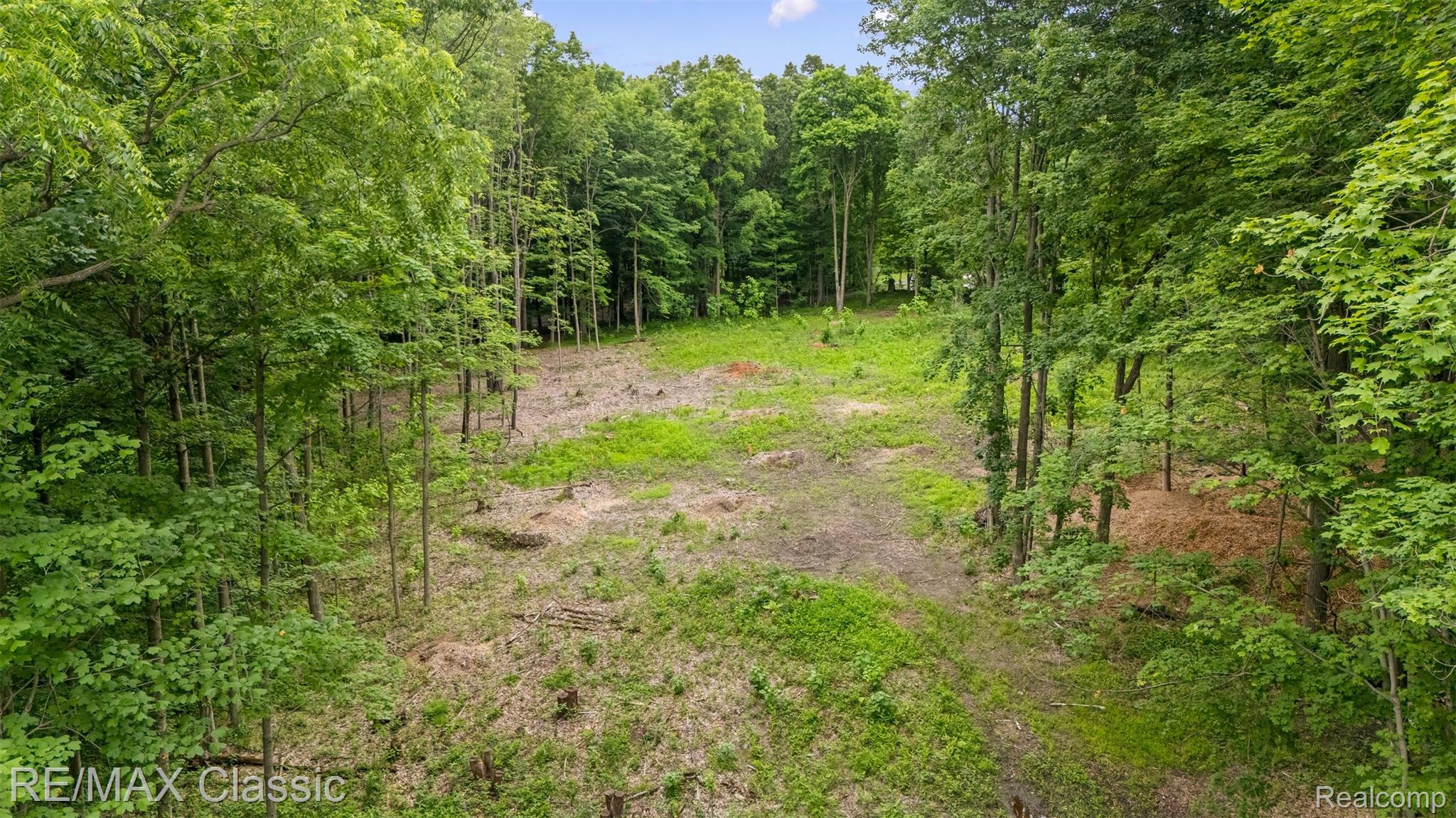 7888 North Territorial Road Dexter, MI 48130 - Photo 5 of 18 abundant mature trees bordering the property