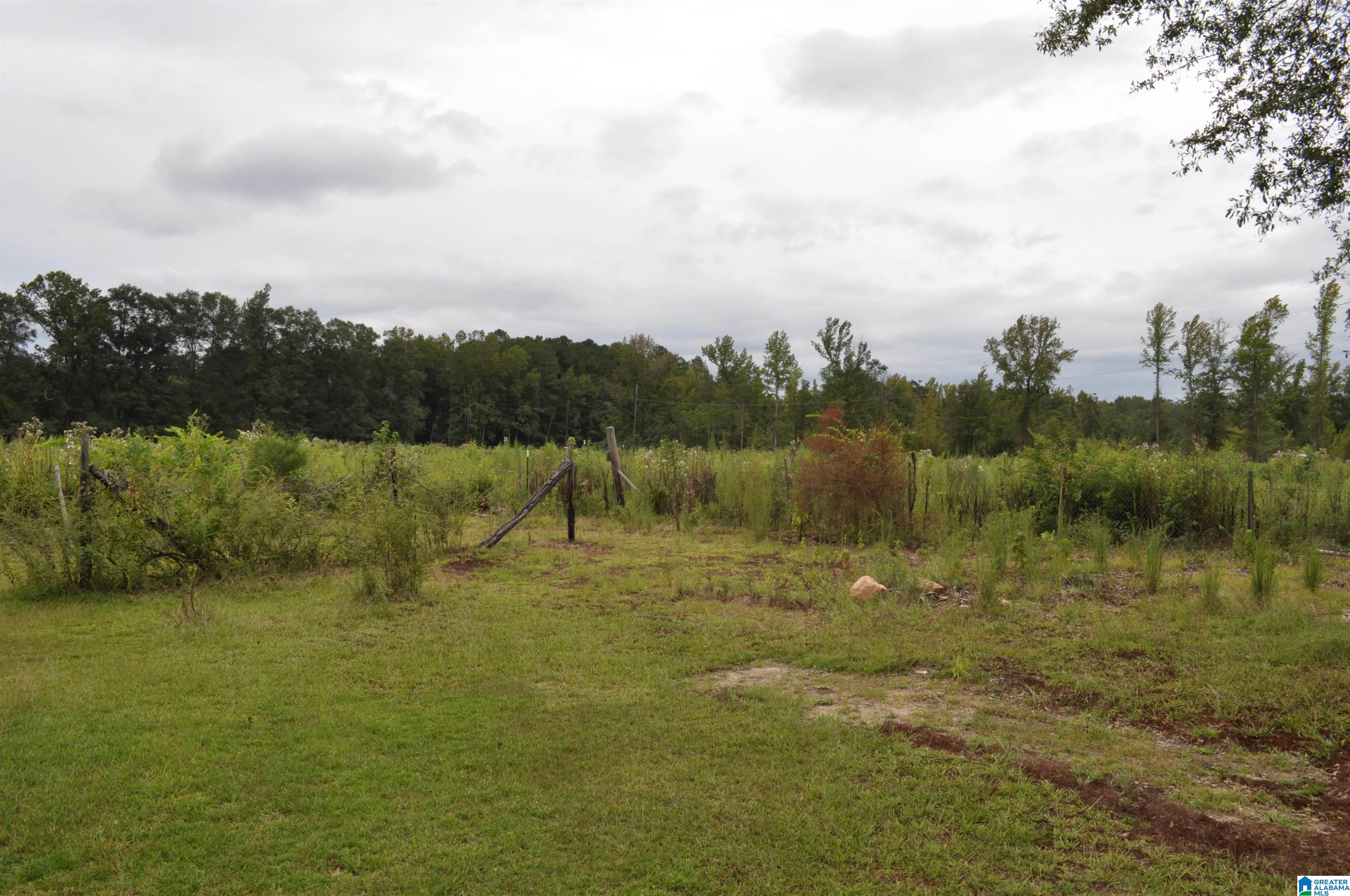 3354 Highway 22 Stanton, AL 36790 - Photo 14 of 14