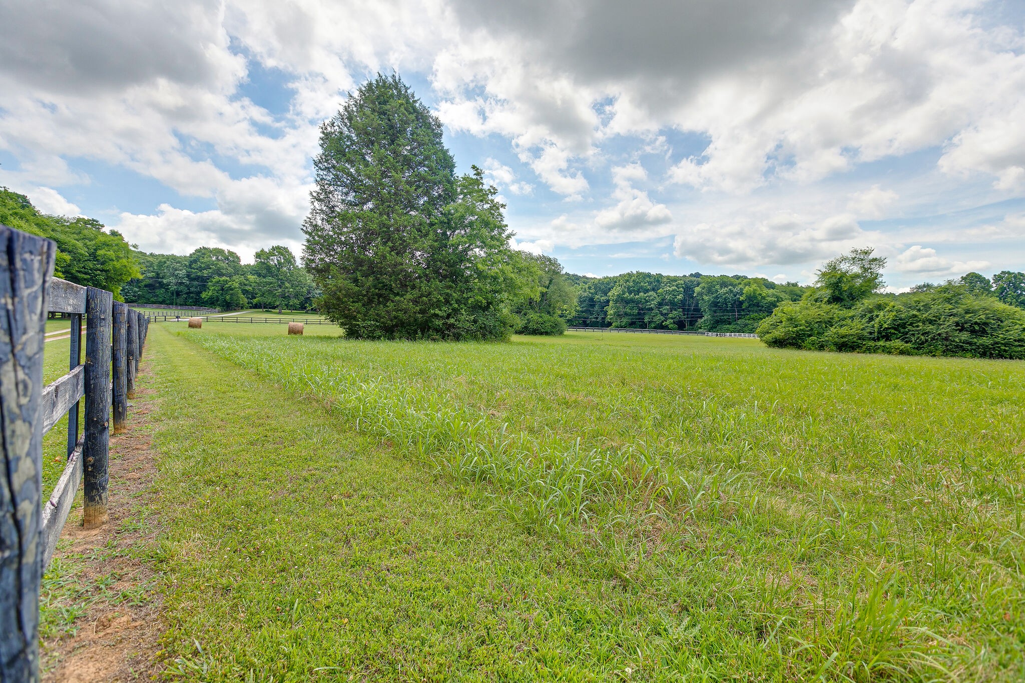 3159 North Cross Bridges Road Columbia, TN 38401 - Photo 17 of 17 Gallery Image 17