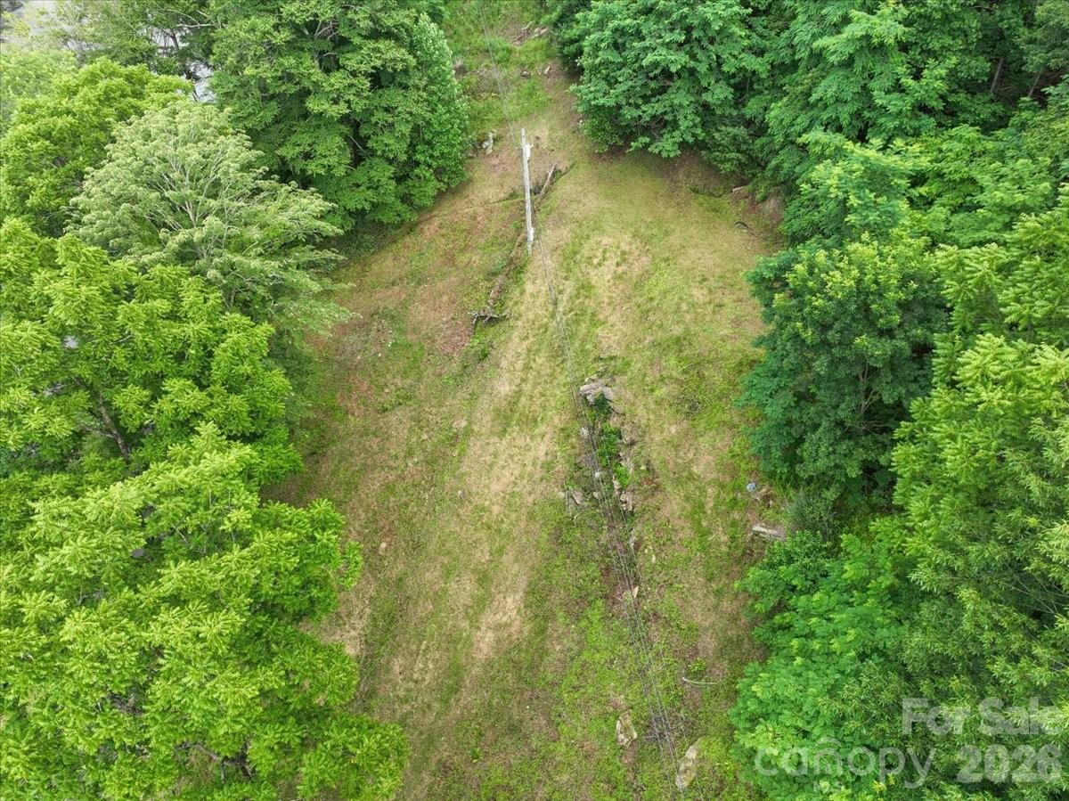 2079 Roses Branch Road Bakersville, NC 28705 - Photo 7 of 20