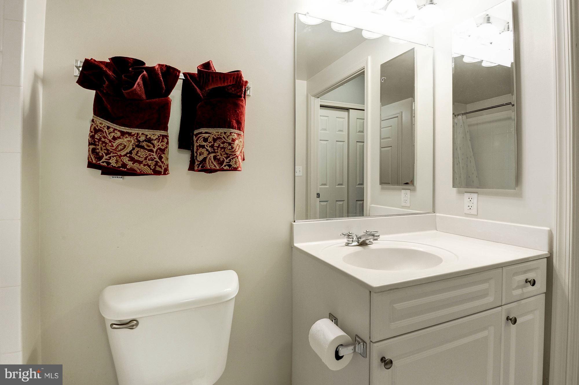 2726 Gallows Road, Unit 1315 Vienna, VA 22180 - Photo 18 of 30 a bathroom with a sink and a mirror