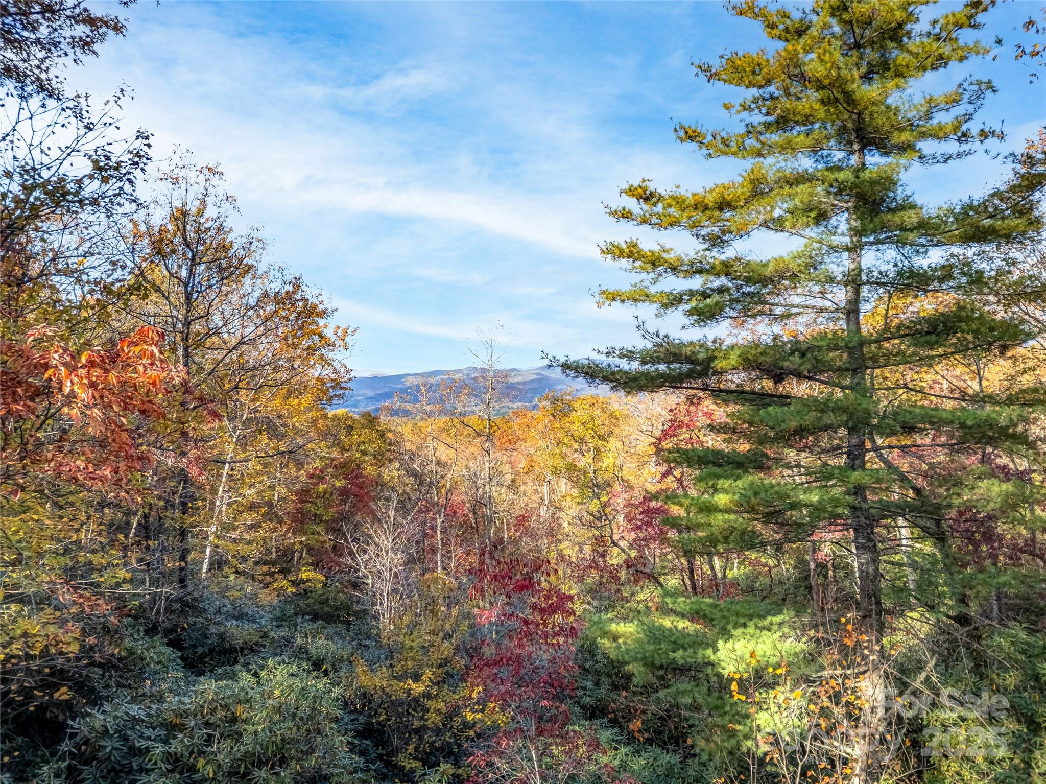 a view of a yard with a tree