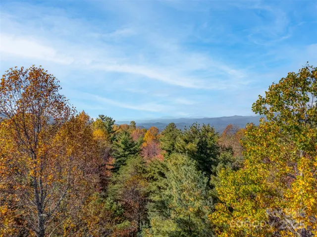 a view of a bunch of trees