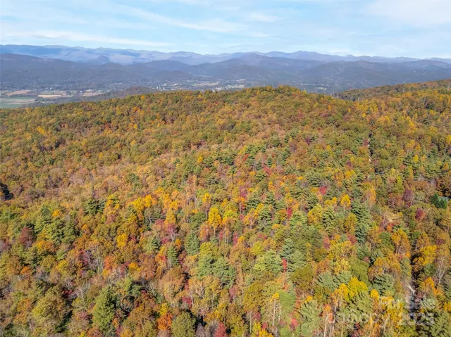 a view of small yard