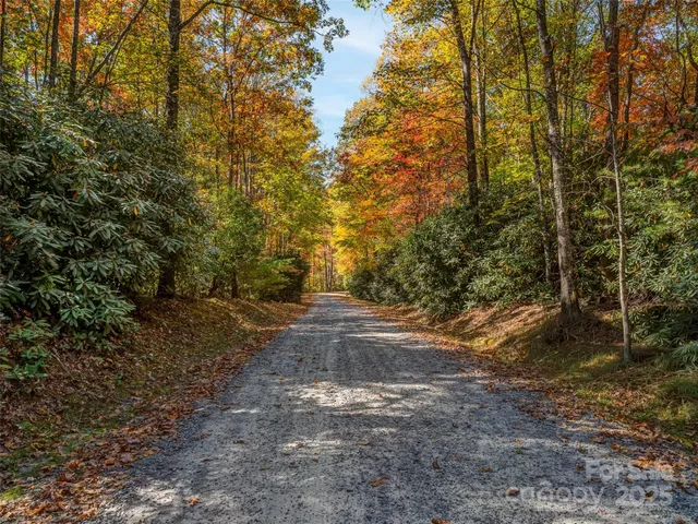 a view of a yard with large trees