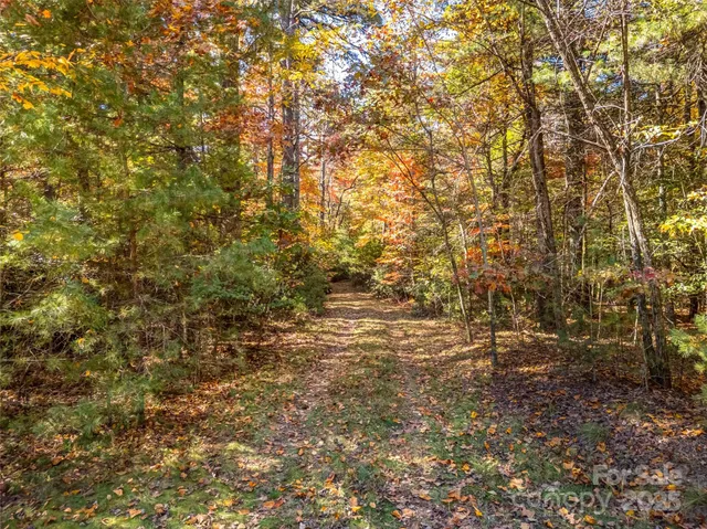 a view of a field with trees in the background