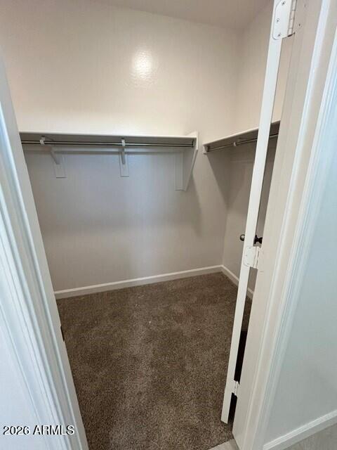 26443 West Crown King Road Buckeye, AZ 85326 - Photo 24 of 25 Primary Closet