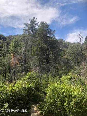a view of a lake with a mountain