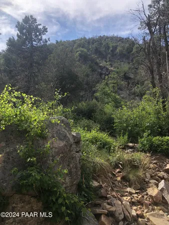 a view of a field with a tree