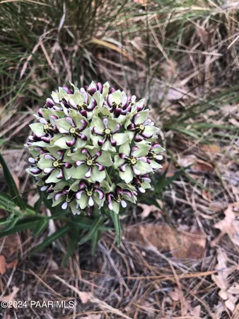 $79,900 | 0 Lot 205-12-023, Prescott, AZ 86303