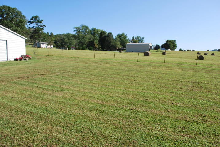 2736 East Raccoon Valley Drive Heiskell, TN 37754 - Photo 19 of 37 a view of a green field with trees in the background