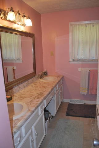 2736 East Raccoon Valley Drive Heiskell, TN 37754 - Photo 33 of 37 a bathroom with a sink a mirror and a bathtub