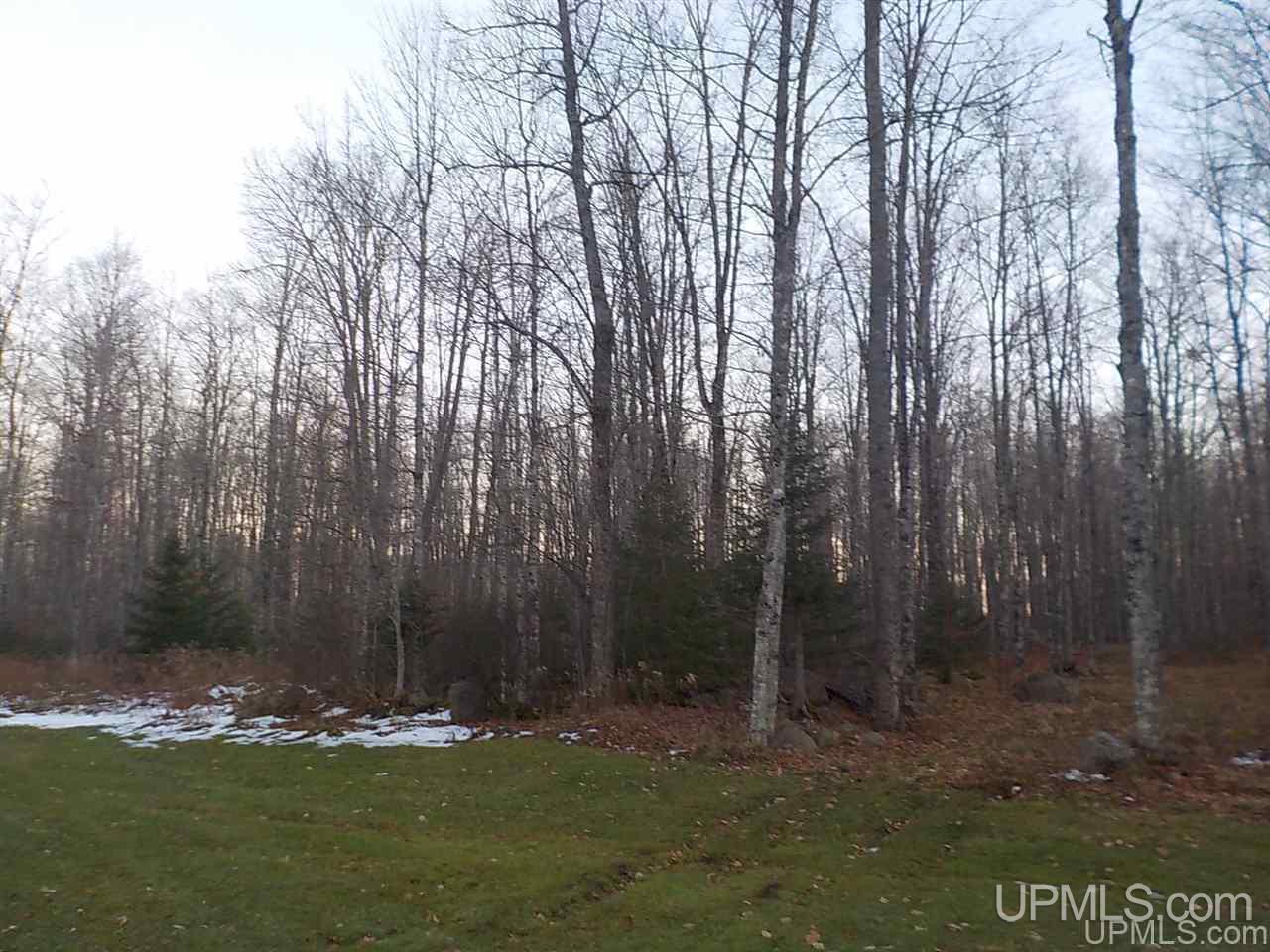 547 Sheltrow Road Crystal Falls, MI 49920 - Photo 34 of 47